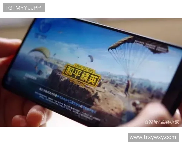 和平精英V5版本状态分析与未来发展趋势探讨