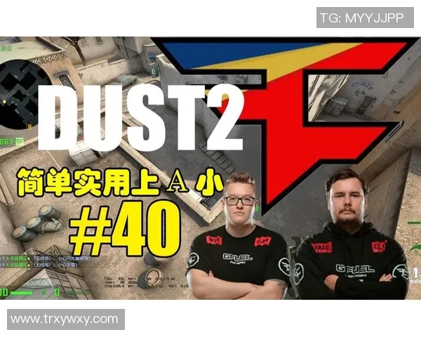 从零开始掌握CSGO的技巧与策略全解析助你成为游戏高手