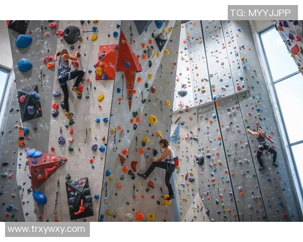 成都攀岩队的节奏分析与提升建议探讨攀岩运动的未来发展