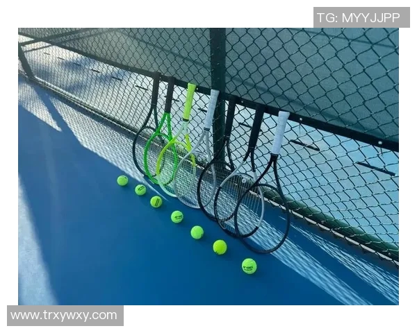 李敏独家分享网球技巧与心得助你提升球技的全面指南