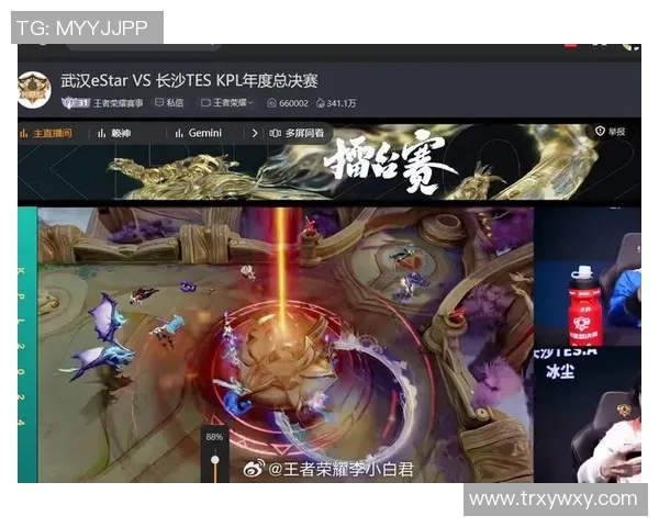 王者荣耀专题：深入解析TES战队的默契配合与战术运用