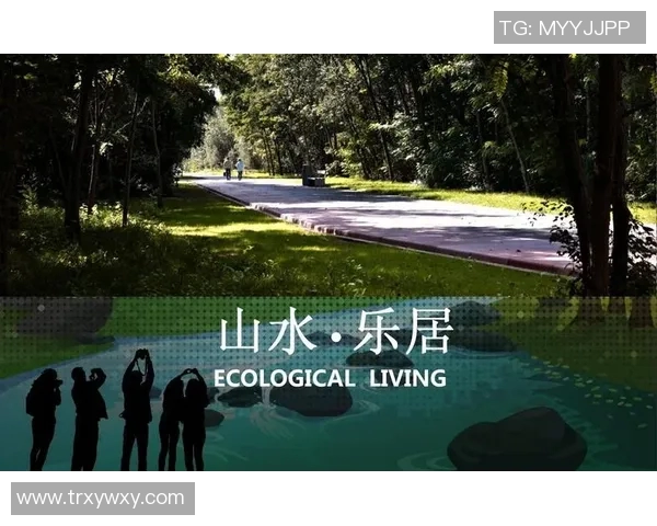 极限运动战术探索成都极限运动队的创新阵地战体系分析