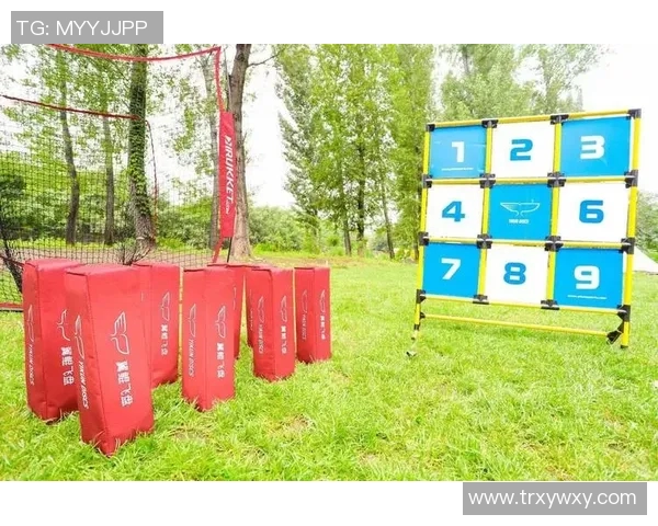 飞盘盛宴：深入了解上海飞盘队的实力与魅力