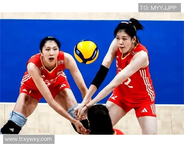 上海排球队状态变革引发热议球迷期待新篇章的崛起与挑战