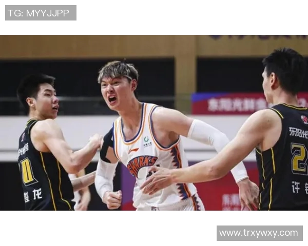 上海街舞队实力对比深度解析与发展趋势探讨