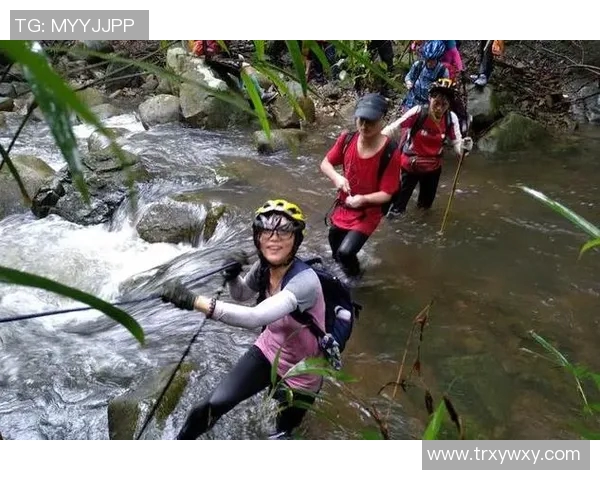 南京攀岩队的个人能力揭秘：挑战极限与团队精神的完美结合