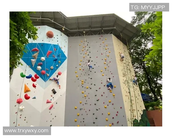 广州攀岩队引领潮流最新攀岩战术TOP10全解析