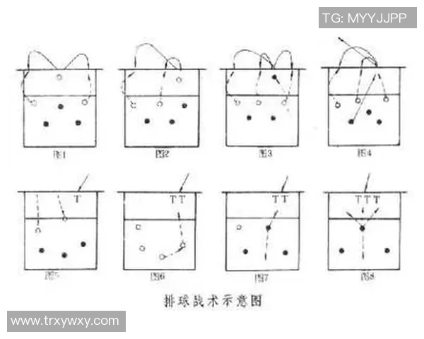 深入分析杭州排球队中路突破战术的优势与实施策略