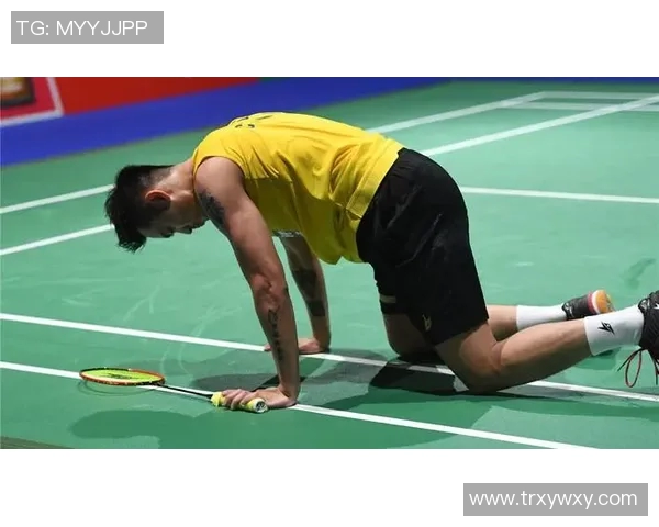 深入探讨杭州羽毛球队的实力表现与数据分析结果