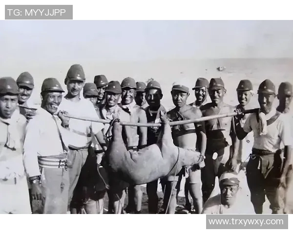 哈德森的传奇之旅探索他的成就与影响力在体育历史中的重要地位