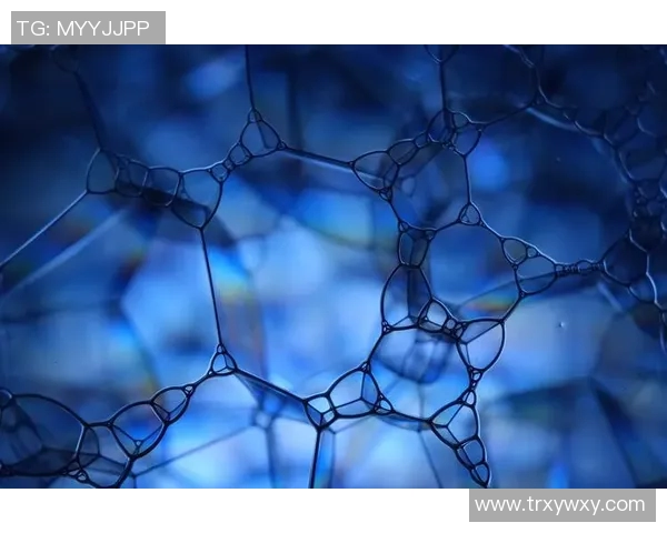 瓦莱罗与方便的较量：探索两者在市场竞争中的优势与挑战