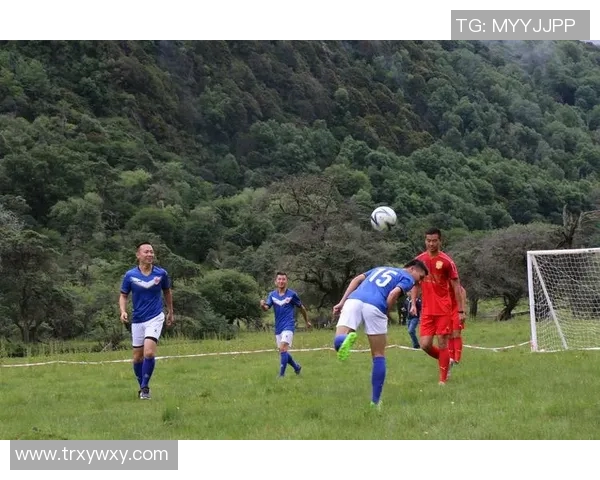 来红牛与泽尼特的激烈对决揭示足球战术的巅峰对抗与精彩瞬间