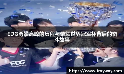 EDG勇攀高峰的历程与荣耀世界冠军杯背后的奋斗故事