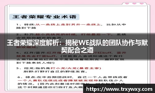 王者荣耀深度解析：揭秘WE战队的团队协作与默契配合之道